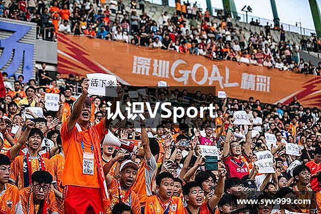 认识VSport